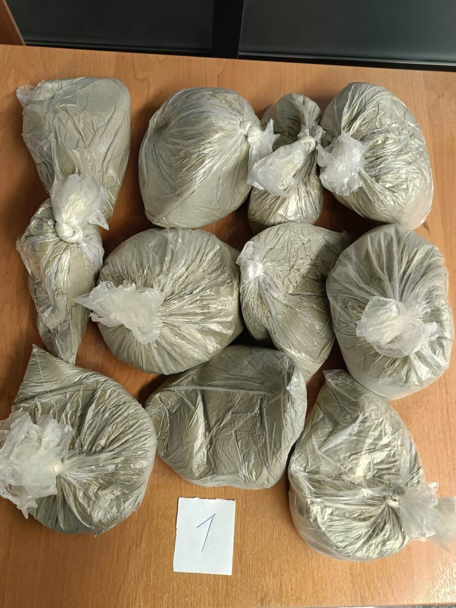    Фото: пресс-служба Краснодарской таможни по г. Сочи.