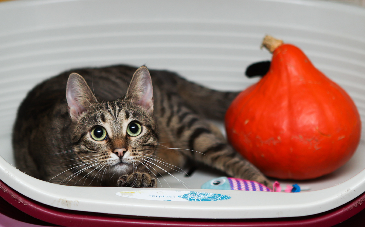 Кофеёчку налили?