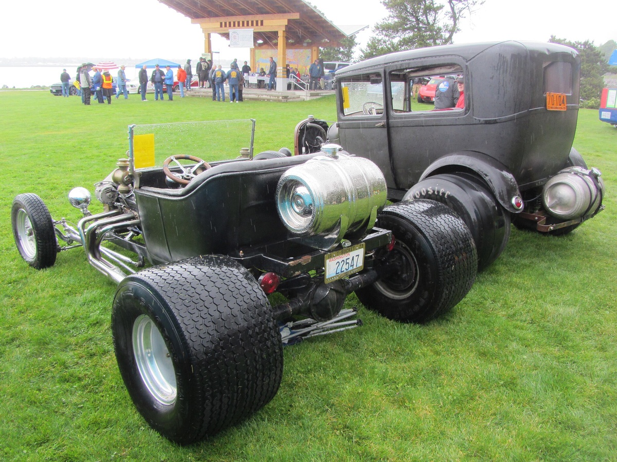 Автор: JOHN LLOYD. Источник: commons.wikimedia.org