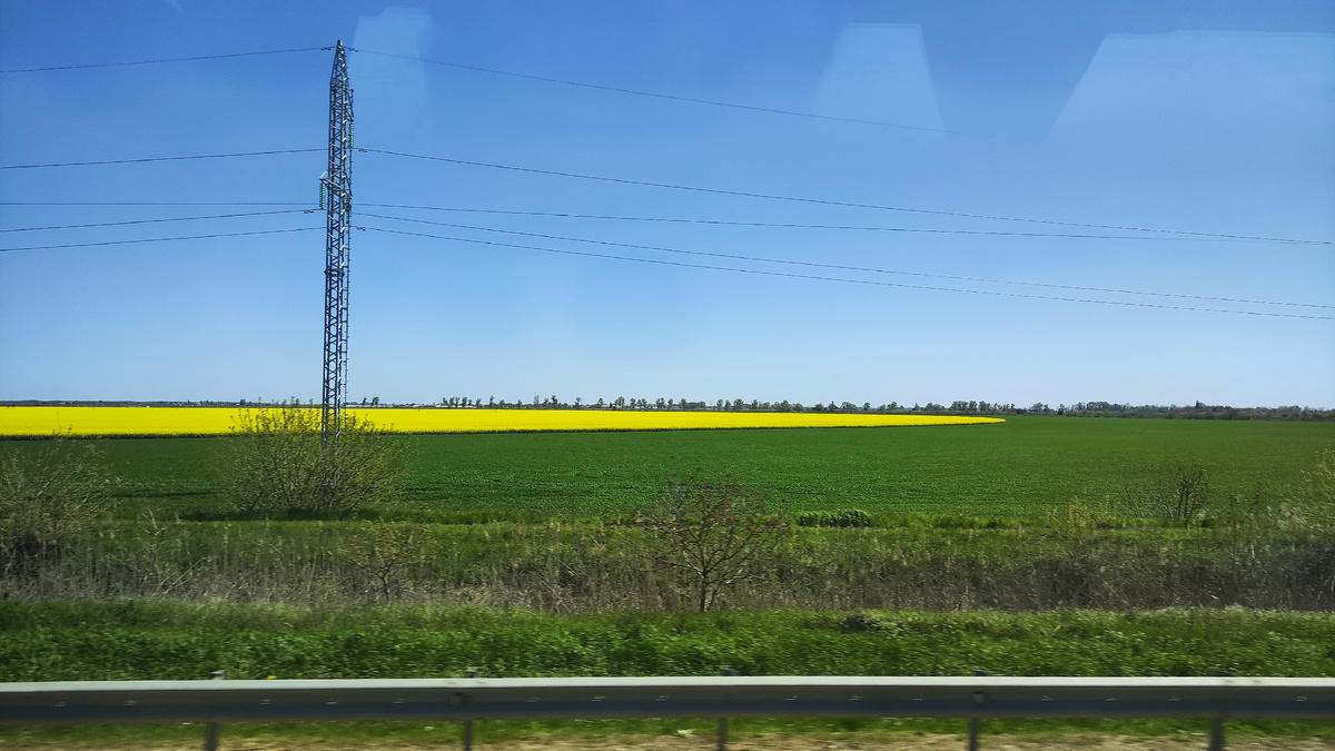 поля родного края