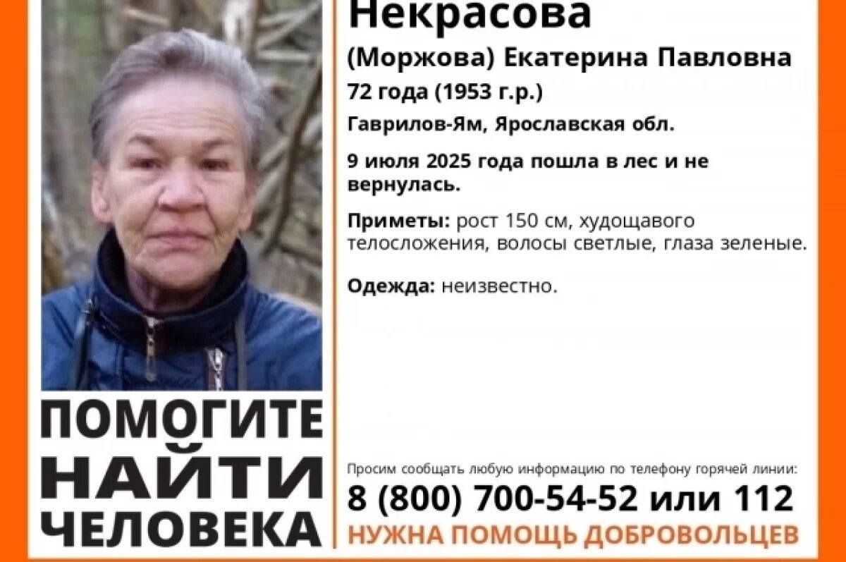    В Гаврилов-Яме ищут пропавшую 72-летнюю женщину