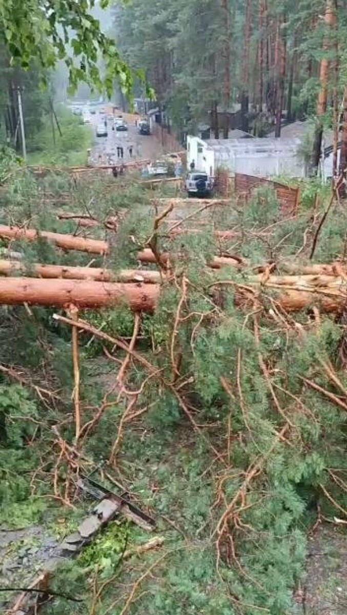    Последствия непогоды в Республике Алтай. Источник: t.me/AElekov