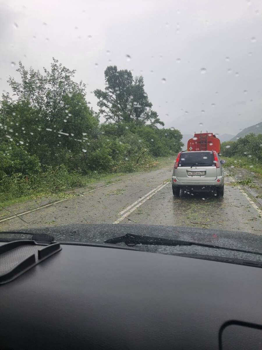    Последствия непогоды в Республике Алтай. Источник: t.me/gornoaltayskinfo