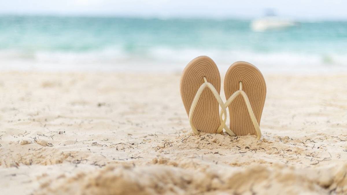    Фото: Shutterstock