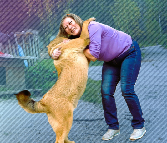 К животным - со всей душой!