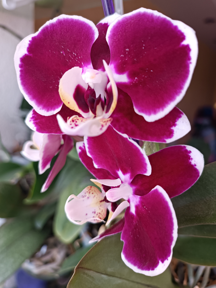 Обложка статьи 