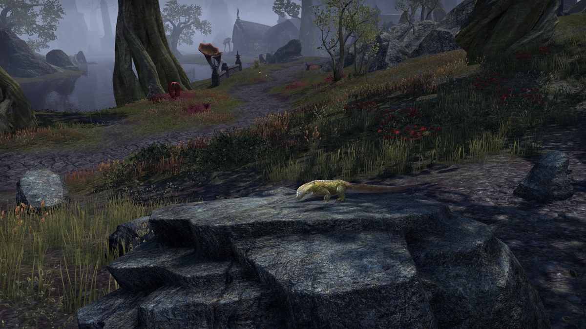 Путешествие только начинается