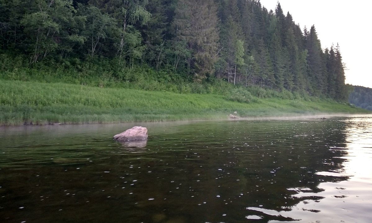    © Елена Бардукова