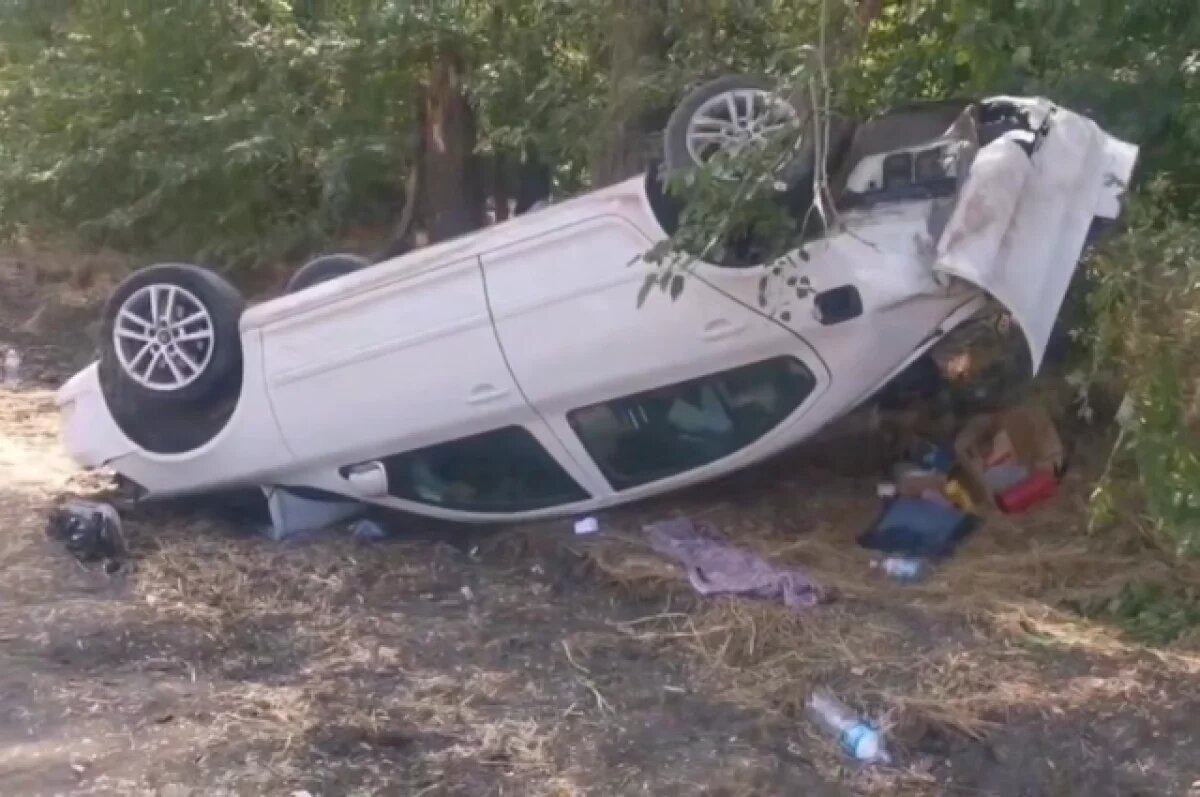    На Кубани в ДТП с опрокидыванием двое детей выжили благодаря автокреслам