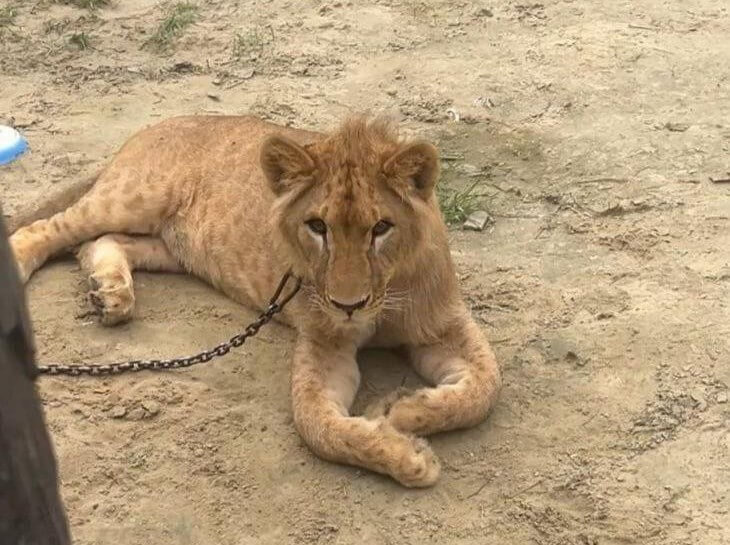    Фото: Росприроднадзор