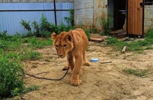    Фото: Росприроднадзор