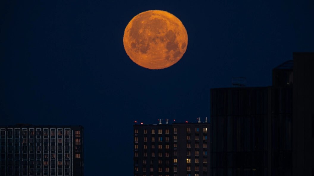    Edgar Breshchanov/Globallookpress