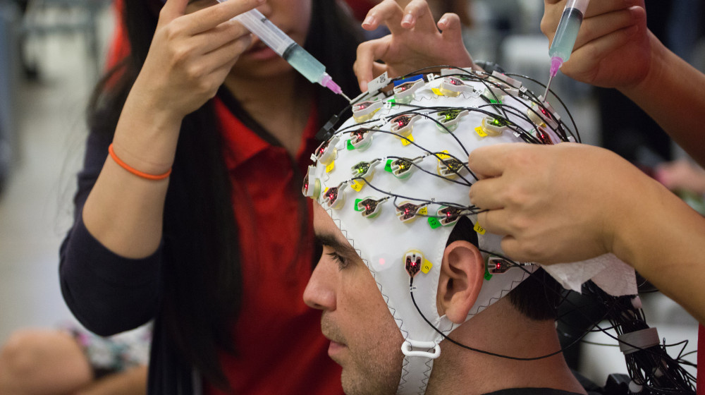    Почему мозг геймера не решает задачи