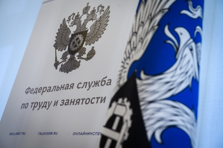 "Забудьте о судах! Как новый сервис Роструда за 14 дней заставит работодателя вернуть вам зарплату (инструкция 2025 года)"