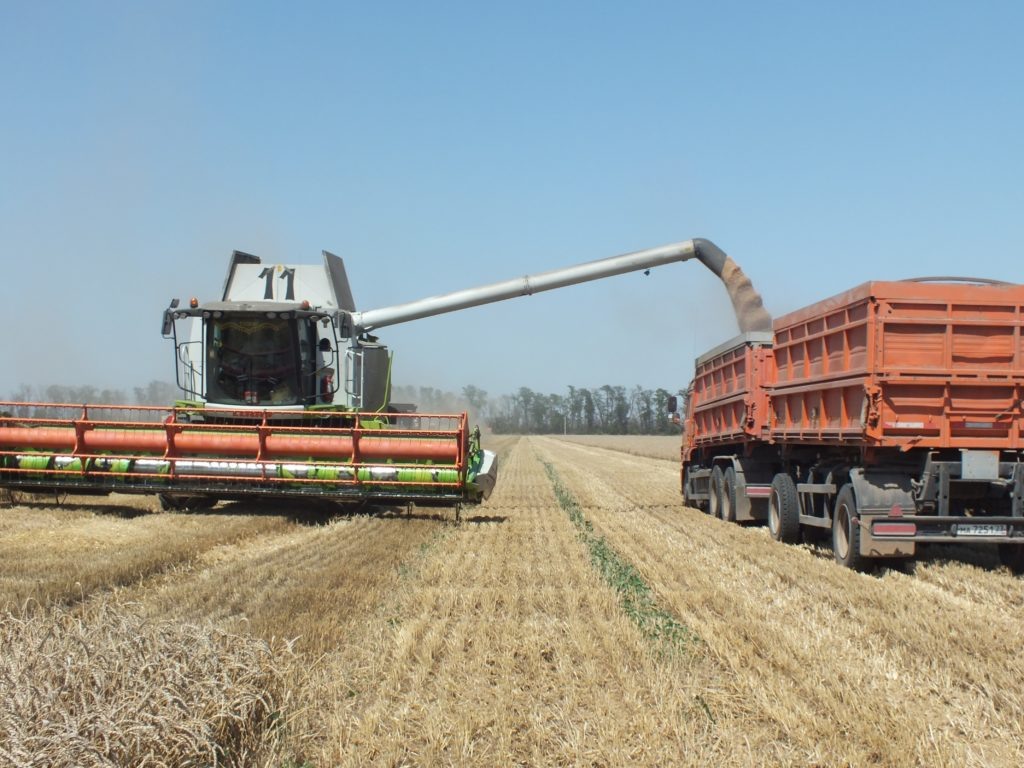    Фото Владимира Головенко. Владимир Головенко