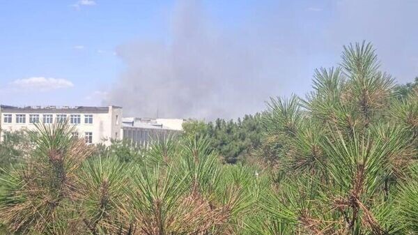    © РИА Новости Крым