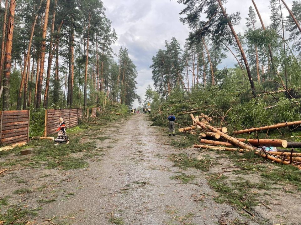    Последствия урагана в Республике Алтай. Источник: t.me/turchak_andrey
