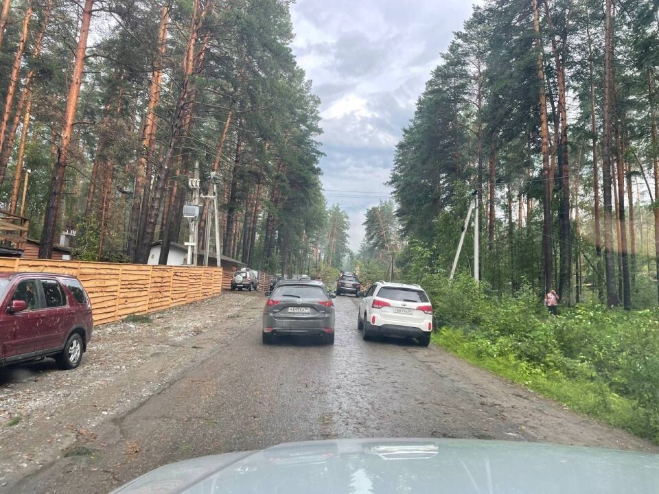    Последствия урагана в Республике Алтай. Источник: t.me/turchak_andrey