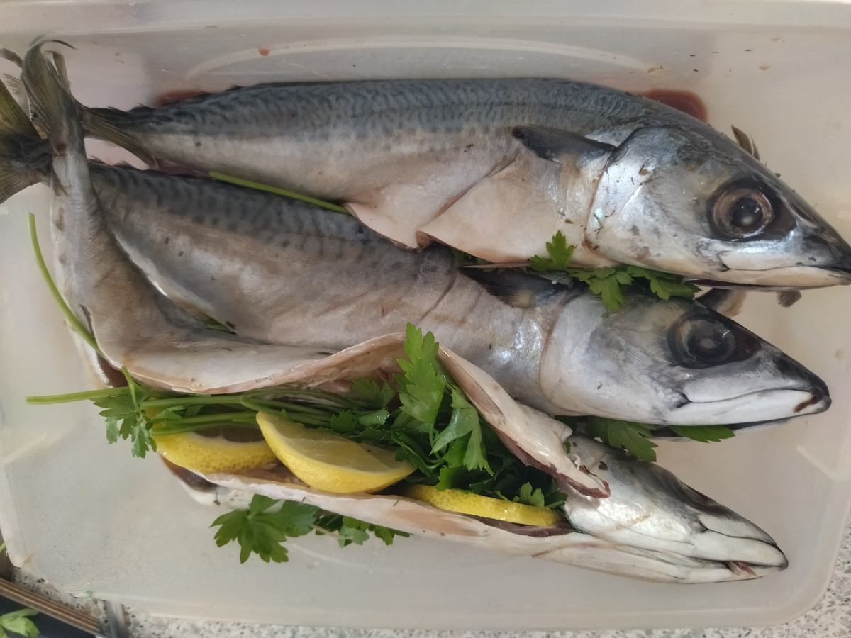 Фото автора. 