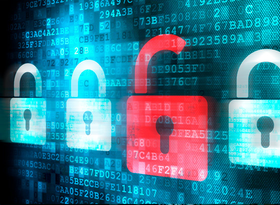 Фото из сети. 