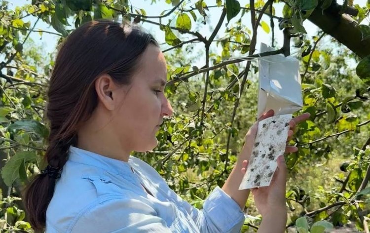    Фото: ФГБНУ ФНЦБЗР