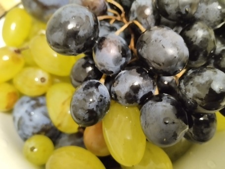 Фотография из личного архива автора