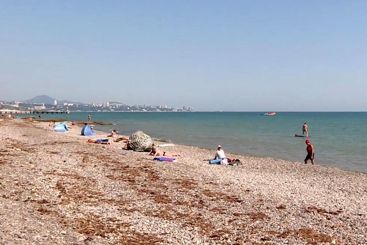    Фото: пресс-служба администрации города Сочи