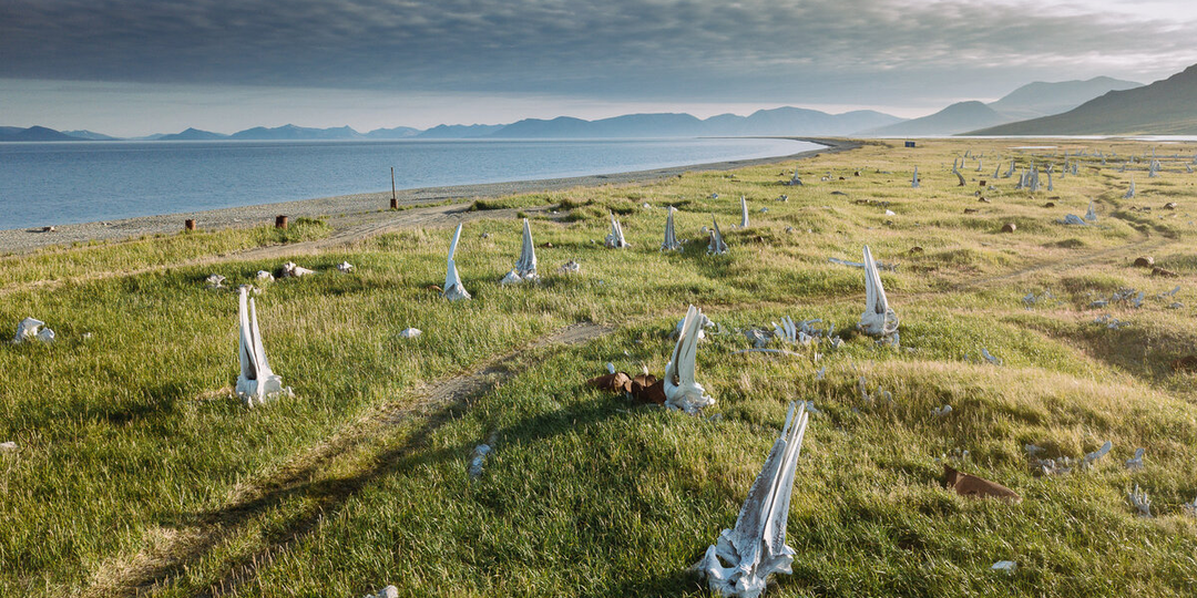 Места в России, которые впечатлили меня больше всего