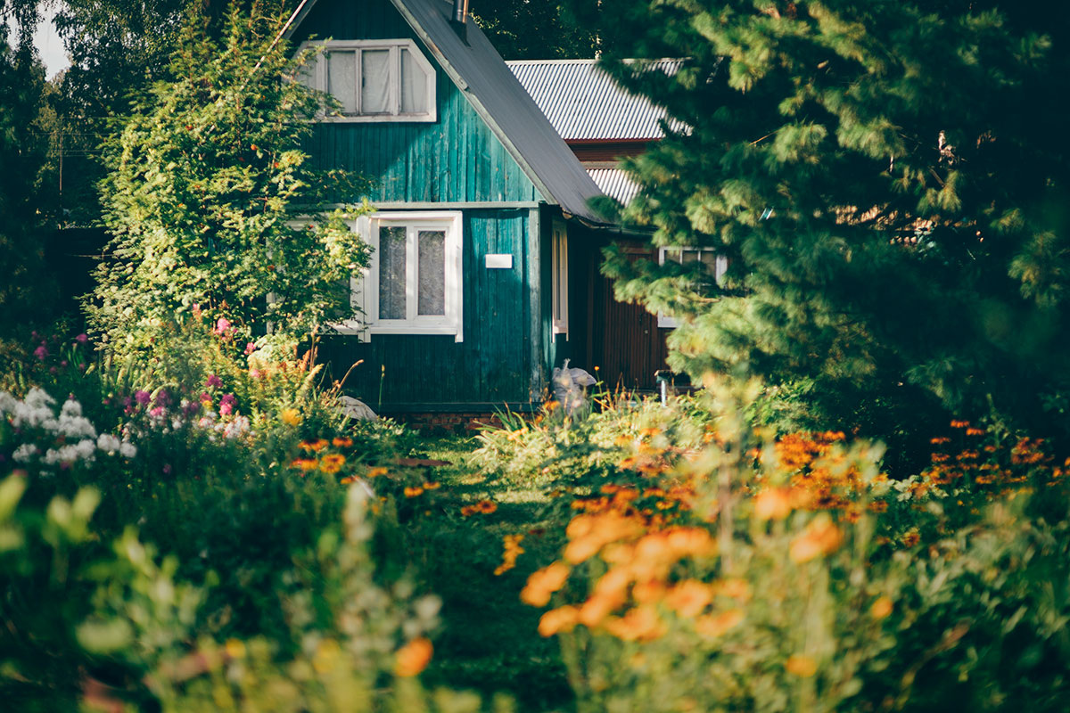    Фото: skyNext / Shutterstock.com