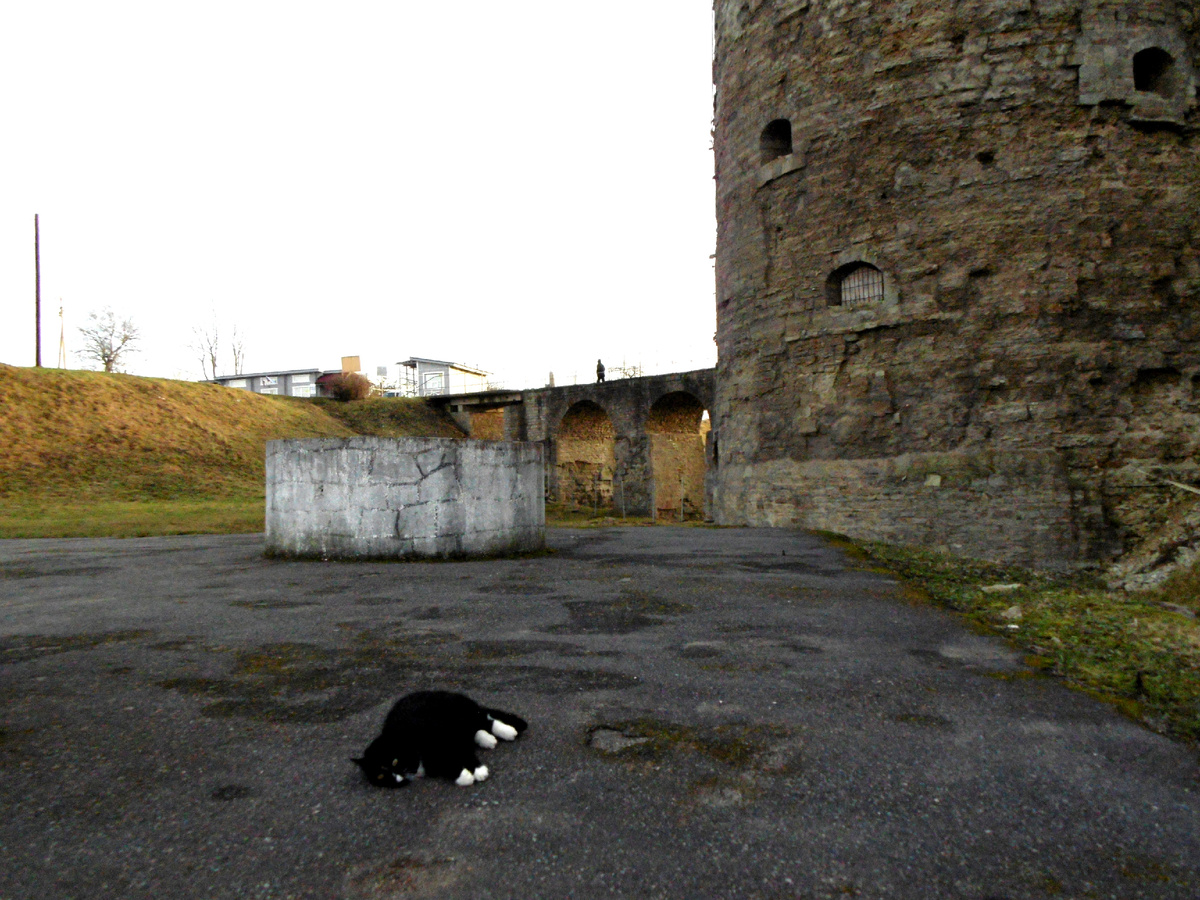 Фото автора