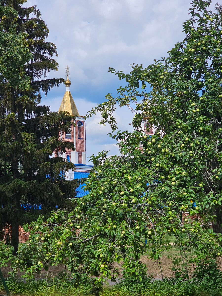 Вид из окна номера на монастырь (автор фото Л.Баева)