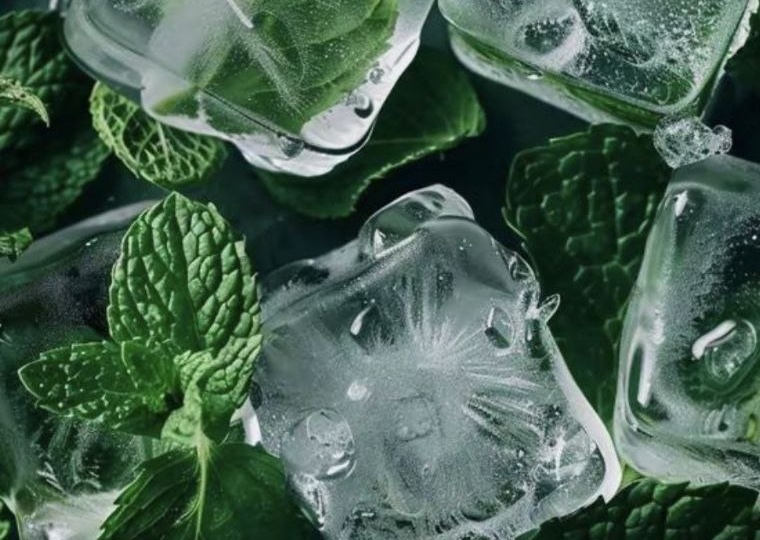 Мята: польза для здоровья и летние рецепты