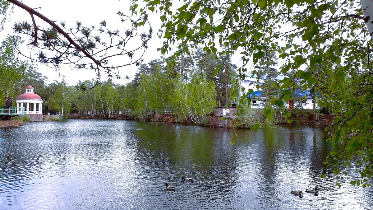 Парк имени Юрия Гагарина в лесном бору. Челябинск (Фото автора)