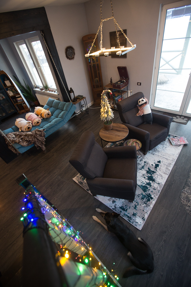 Общий вид каминного зала