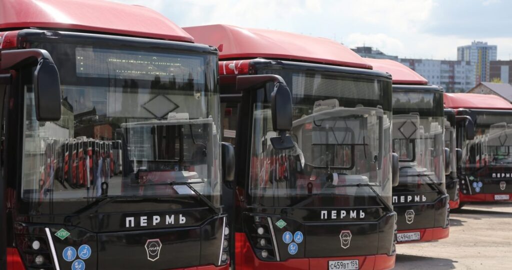    Фото: Эдуард Соснин / ТГ Полина Анкушина