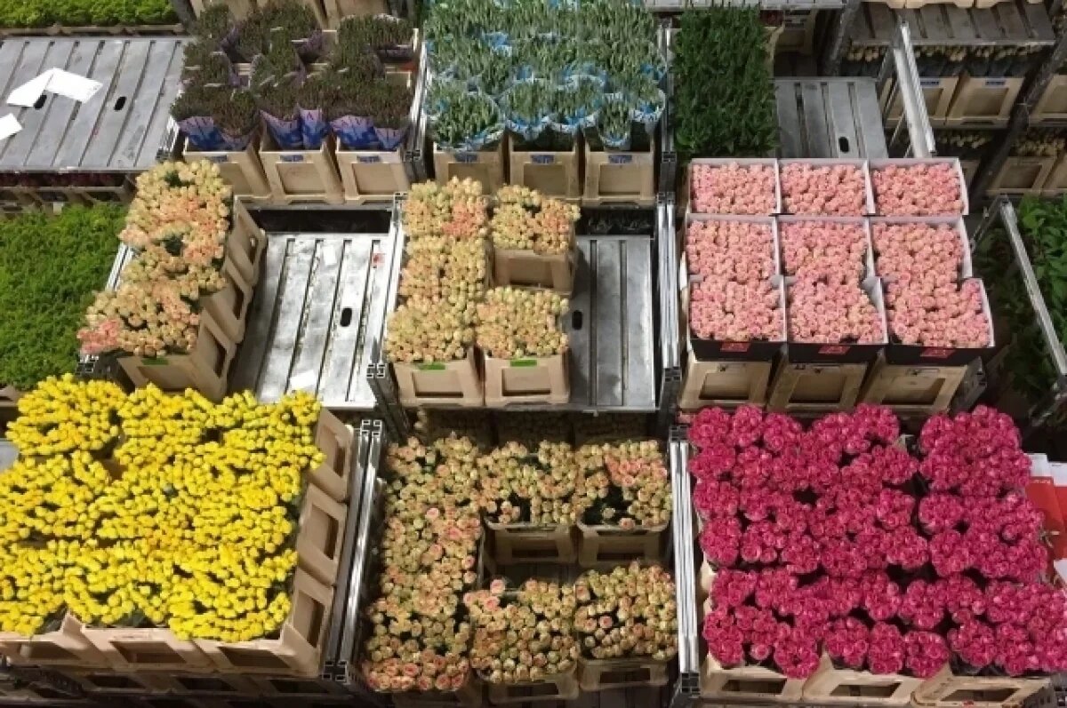    1600 цветов из Китая пришлось обеззаразить в Новосибирске
