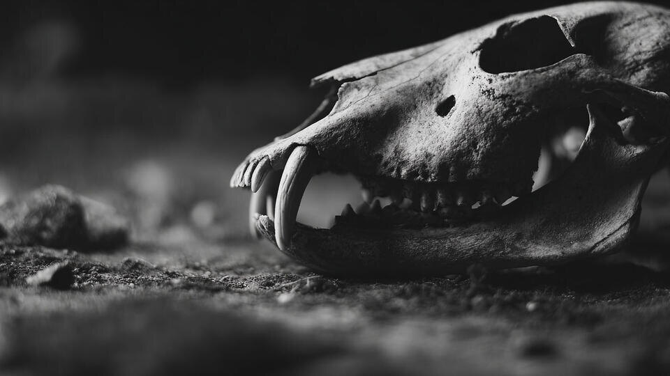 Фото: © РЕН ТВ