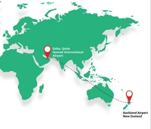 Авиакомпания «Qatar Airways», скриншот с их сайта
