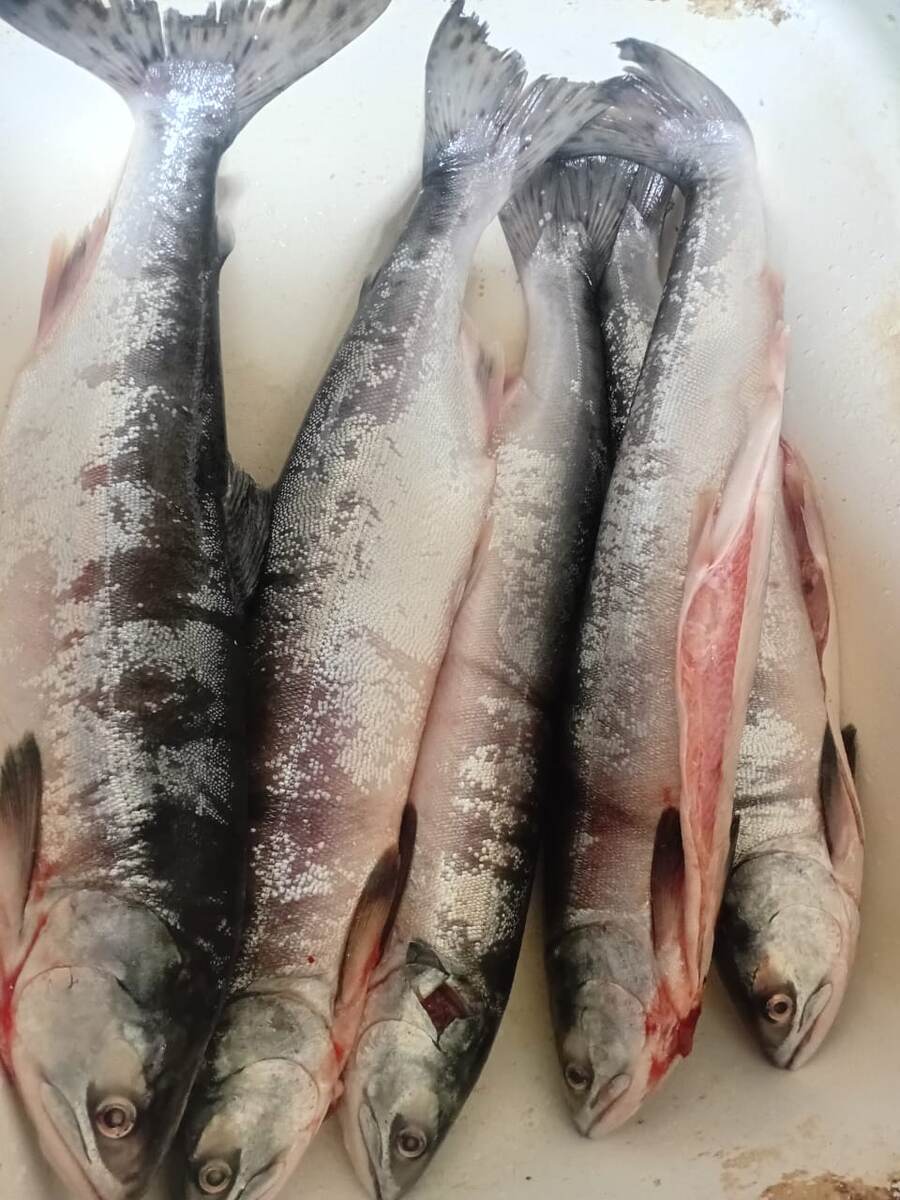 Ну, хороша же рыбка! Фото моей подруги