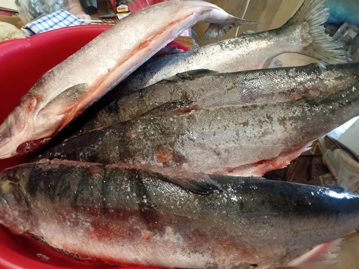 Покупка за 500 рублей. Фото моей подруги