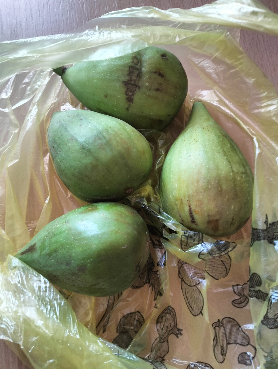 Вот такой был инжир