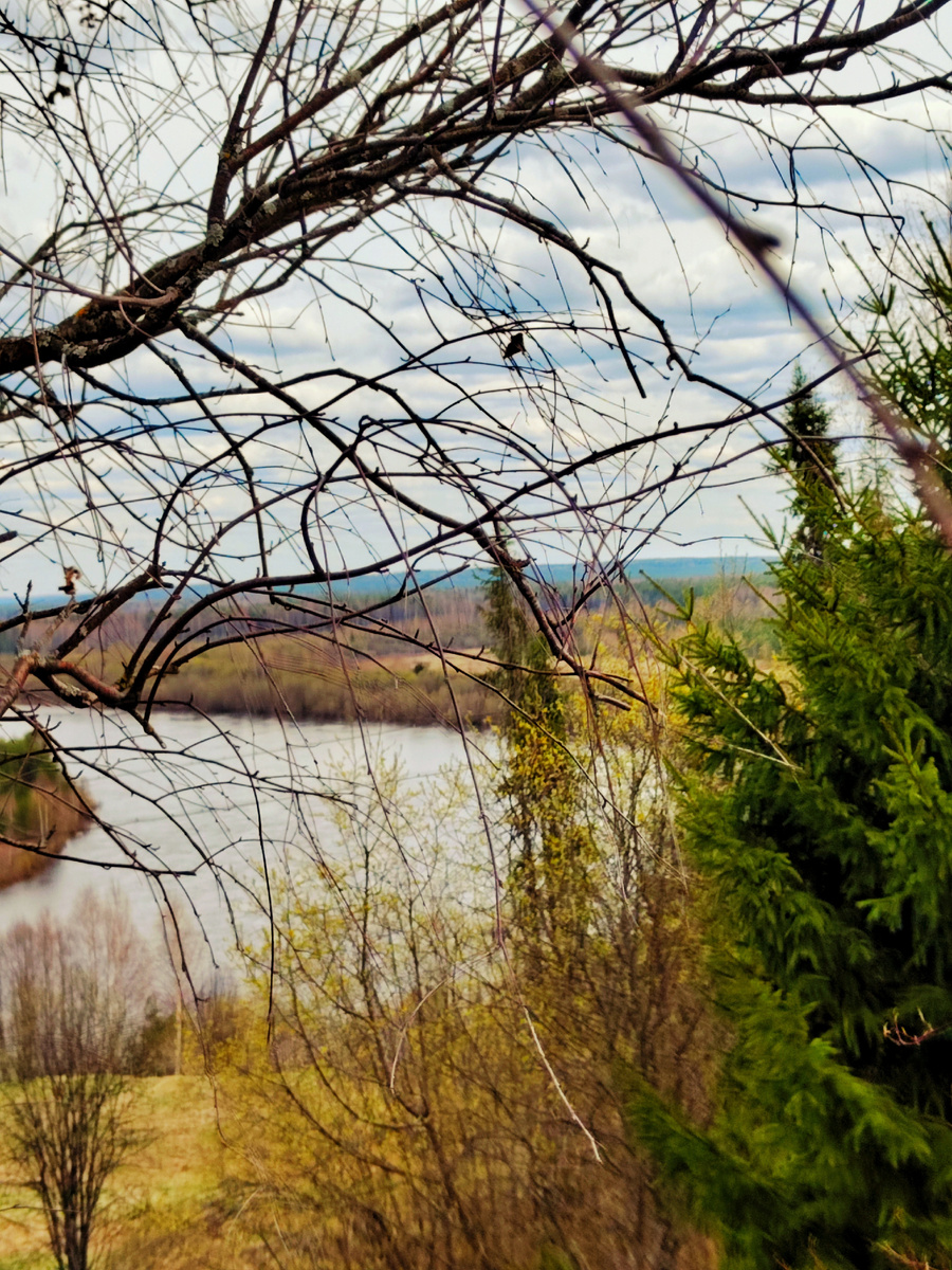 Река Сысола