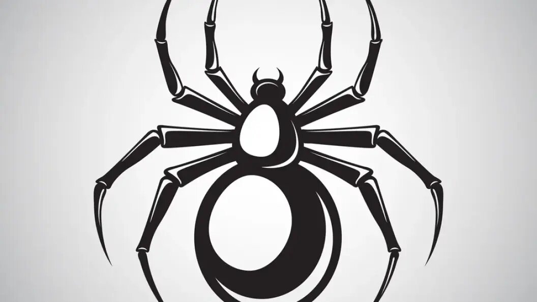    Фото: shutterstock.com / Macrovector