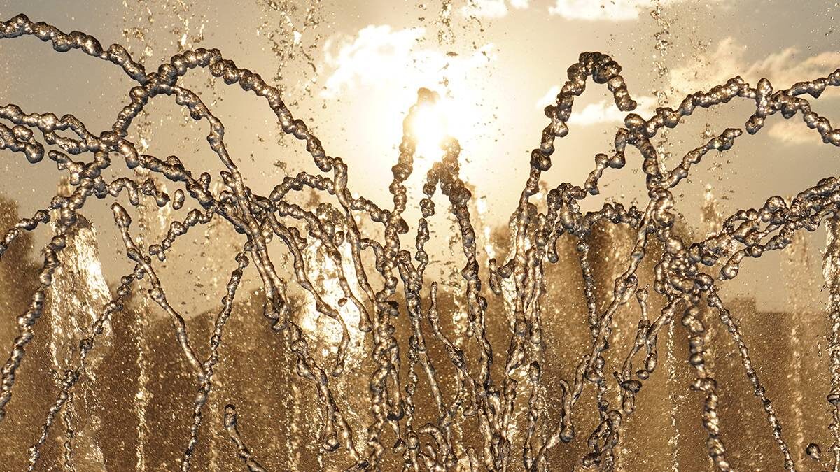    Фото: Анатолий Цымбалюк / Вечерняя Москва