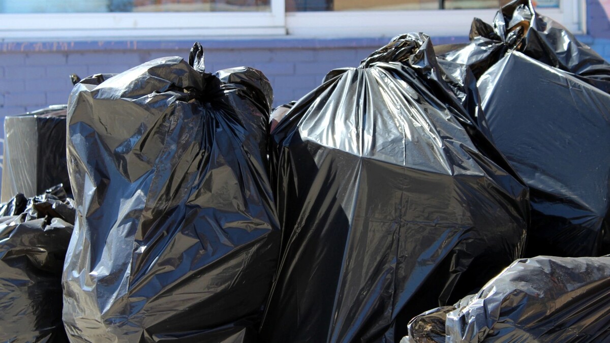    Фото: Catherine Zibo/Shutterstock/Fotodom