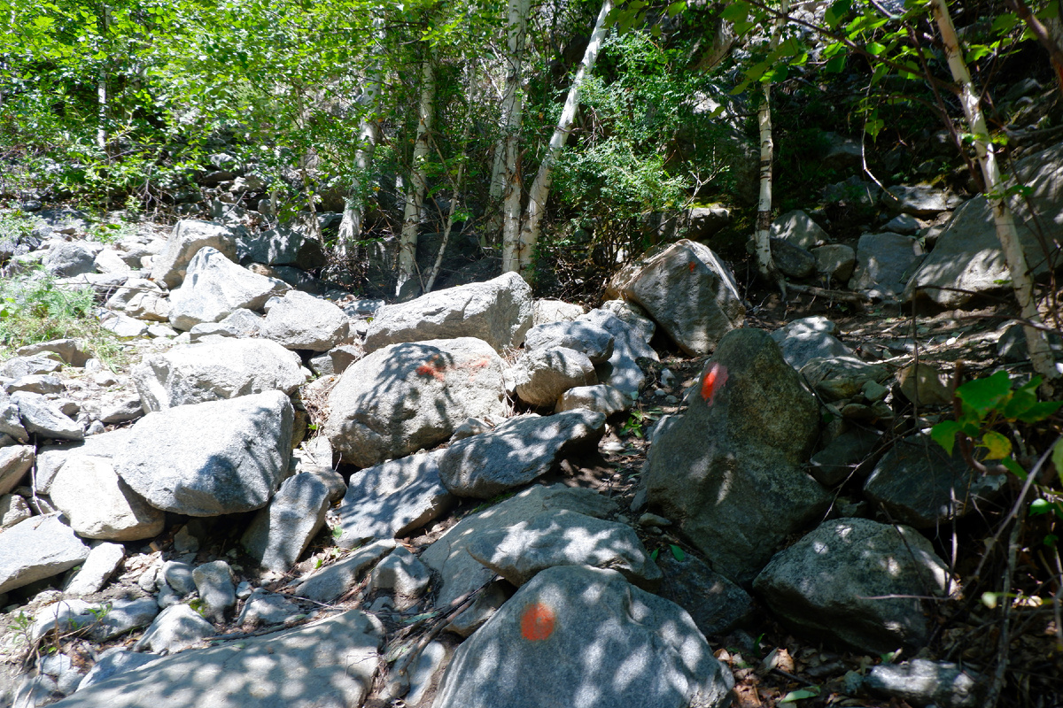 Иногда нтропа обозначена не стрелочками, а точками
