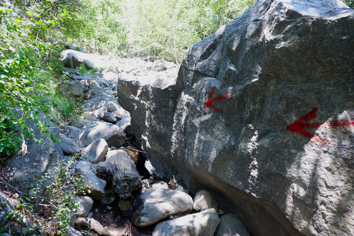 Вблизи их сложно не заметить