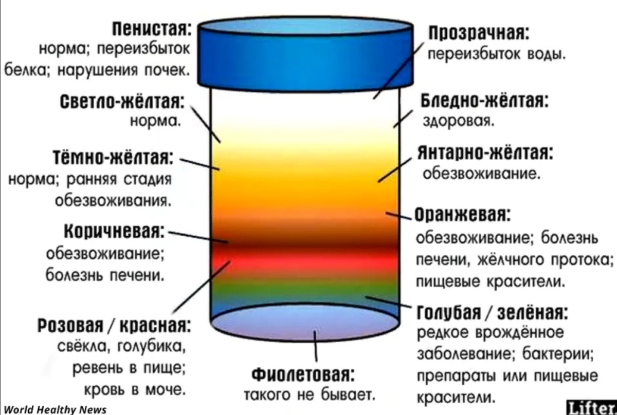 Цвет мочи может рассказать больше, чем вы думаете