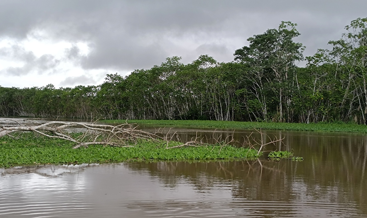 Фото из личного архива автора