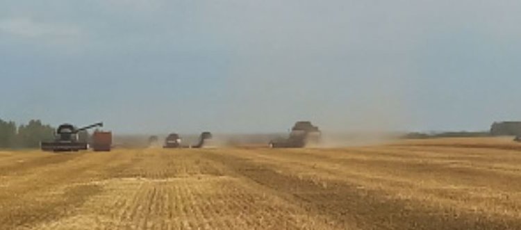    Фото: Минсельхоз Липецкой области